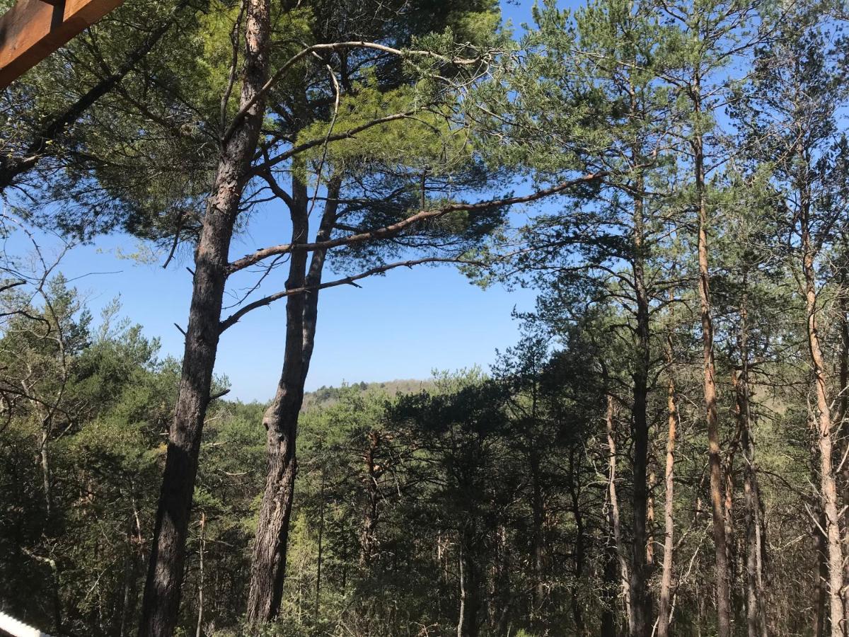 Admirez La Nature, Sejourner Differemment ! Montagnac  Zewnętrze zdjęcie